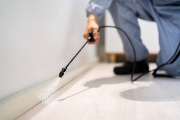 Licensed Pest Control service in West Sand Lake, NY - Show Me Pest Control