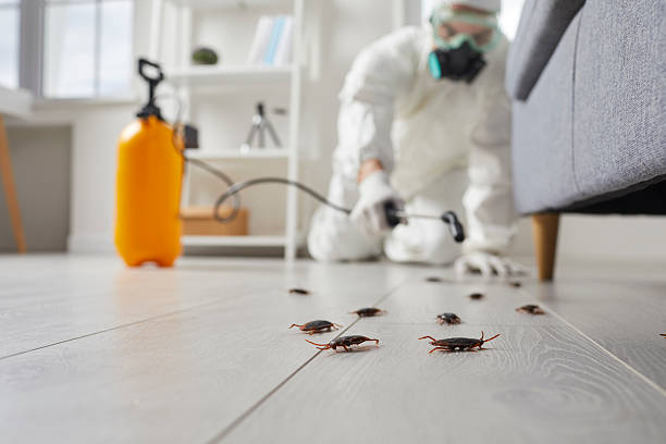 Post-Treatment Bed Bug Interceptor Monitoring in West Sand Lake