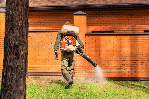 Bed Bug Clearance Verification and Documentation in West Sand Lake
